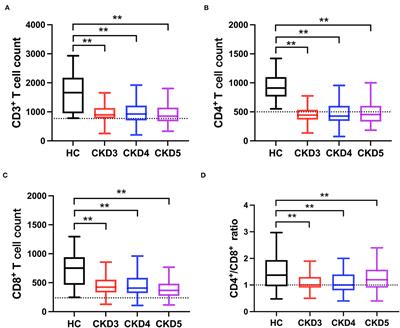 T-Lymphocyte Subsets Alteration, Infection and Renal Outcome in Advanced Chronic Kidney Disease